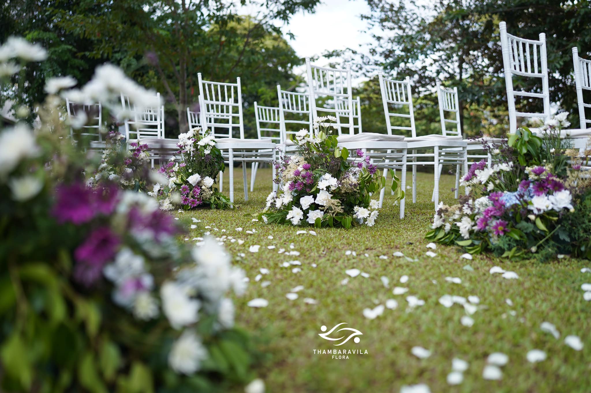 Services 7 thambaravila flora chair decor